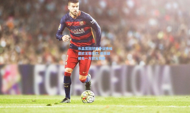 水晶宫因球迷争议横幅遭欧足联处罚 俱乐部被处一万欧元罚款