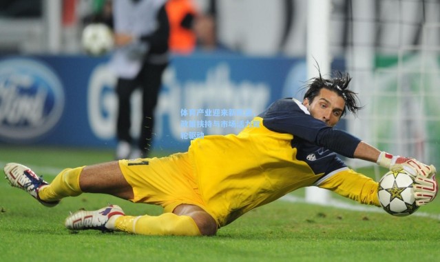 体育产业迎来新机遇，政策扶持与市场活力双轮驱动